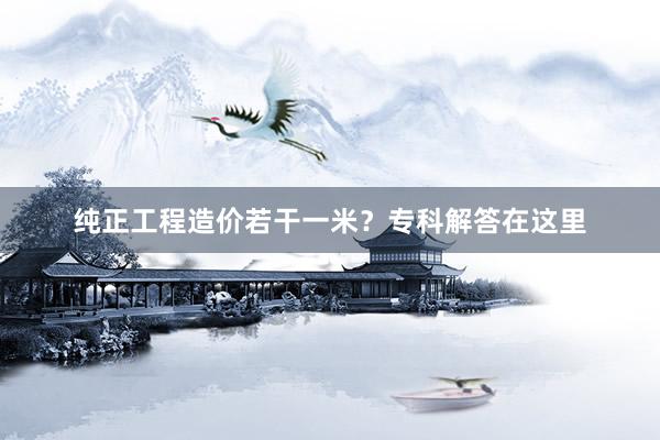 纯正工程造价若干一米？专科解答在这里